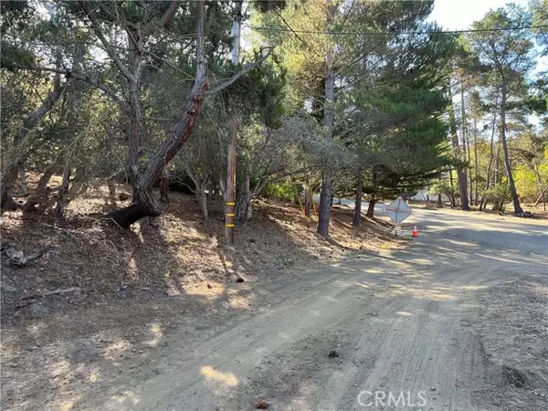 Cambria, CA 93428,1818 Tweed Avenue
