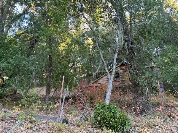 Templeton, CA 93465,0 Shadow Canyon Road