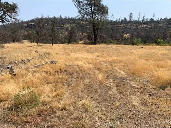 Butte Valley, CA 95965,3923 Dry Creek Road