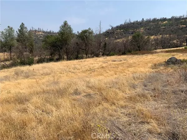 Butte Valley, CA 95965,3923 Dry Creek Road