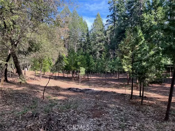 Forest Ranch, CA 95942,0 Headwaters Road