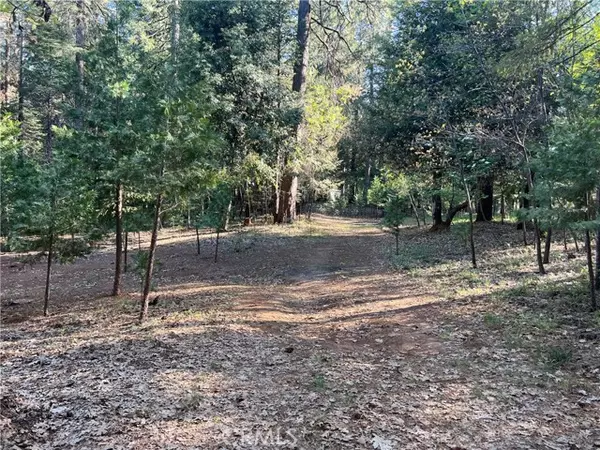 Forest Ranch, CA 95942,0 Headwaters Road
