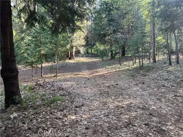 Forest Ranch, CA 95942,0 Headwaters Road