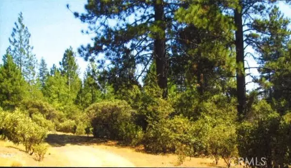 Berry Creek, CA 95916,3416 Big Ridge Road