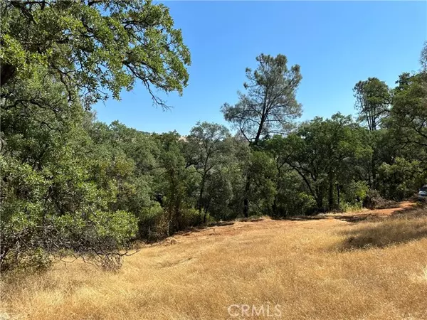 0 Rich Gulch Road, Yankee Hill, CA 95965