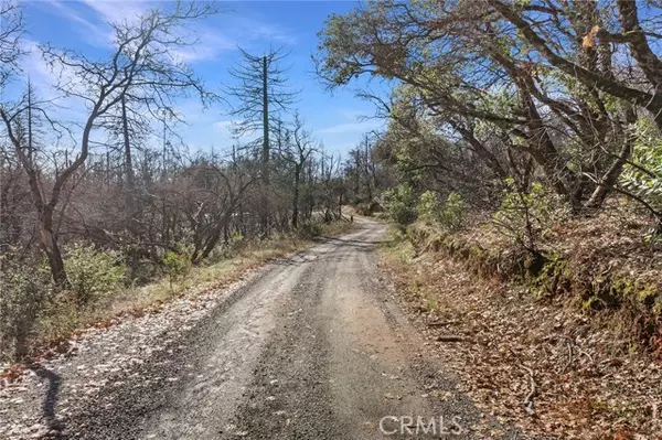 Berry Creek, CA 95916,0 Little Ridge Road