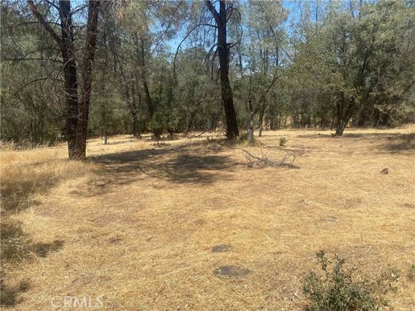 0 Lemon Hill Drive, Oroville, CA 95966