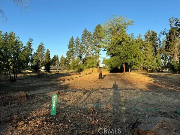 6361 Tabernacle Lane, Paradise, CA 95969