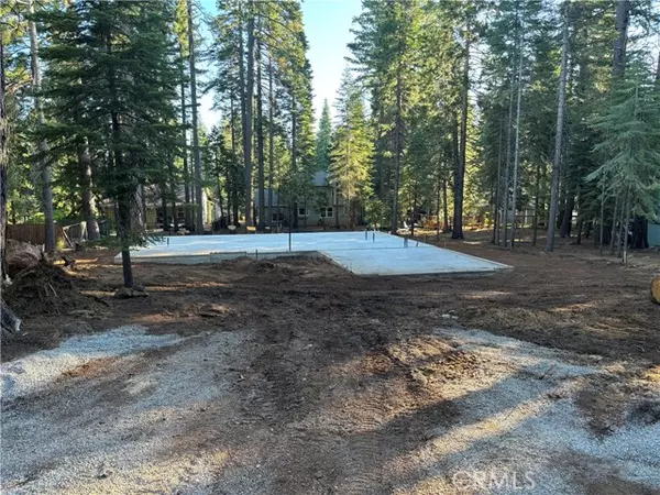 Lake Almanor, CA 96020,317 Raccoon Trail