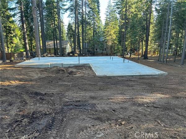 317 Raccoon Trail, Lake Almanor, CA 96020