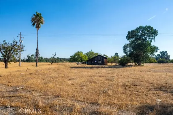 Orland, CA 95963,0 County Road 9