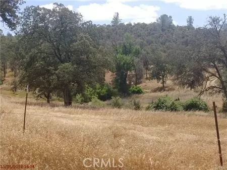 Bangor, CA 95914,0 Avacado