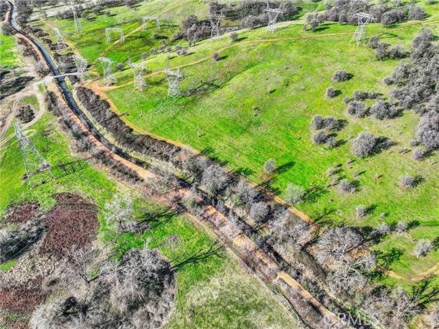 Cottonwood, CA 96022,0 TREEFOIL
