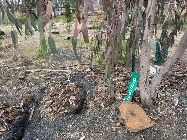 Paradise, CA 95969,8083 Skyway