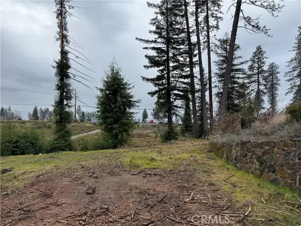 Paradise, CA 95969,1037 Thomasson Lane