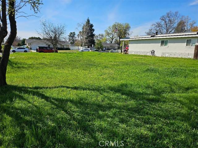 Corning, CA 96021,0 MARGUERITE