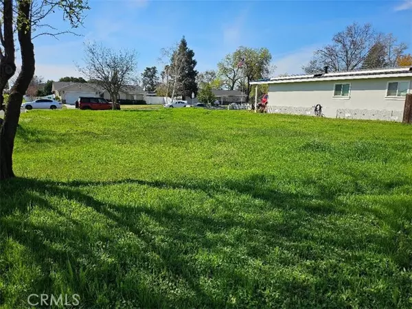 Corning, CA 96021,0 MARGUERITE