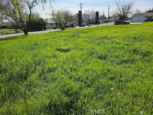 Corning, CA 96021,0 MARGUERITE