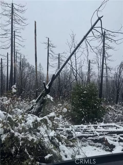 0 Seminole Drive, Berry Creek, CA 95916