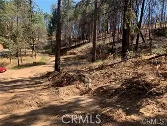 Oroville, CA 95965,11345 Concow Road