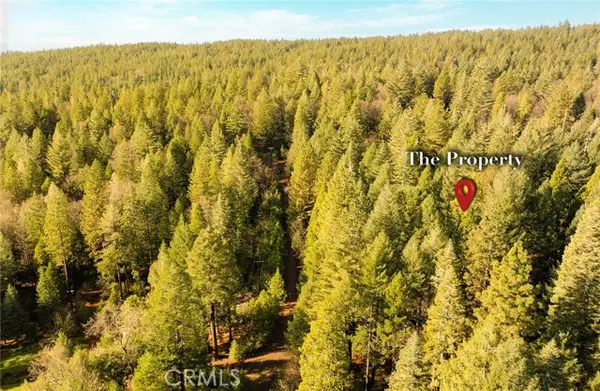 Cohasset, CA 95973,10 Roz Ln