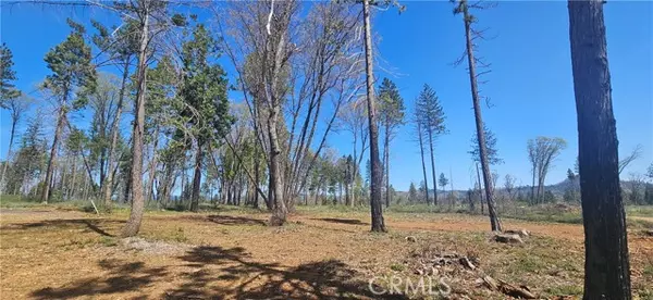 Magalia, CA 95954,0 Skyway