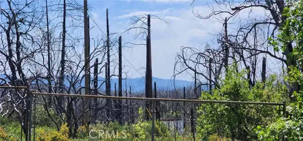 Berry Creek, CA 95916,51 Horseshoe Trail