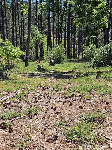 Paradise, CA 95969,0 Boeta Court