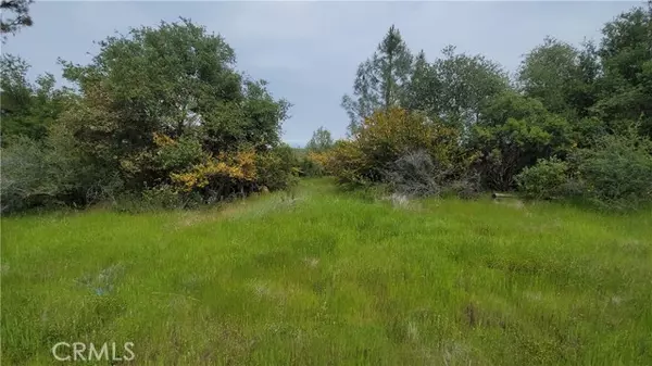 Shingletown, CA 96088,27048 Lack Creek Drive