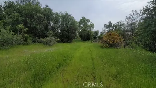 Shingletown, CA 96088,27048 Lack Creek Drive