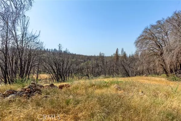 Chico, CA 95973,105 Harvey Road