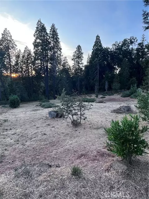 Magalia, CA 95954,13903 Cluster Court