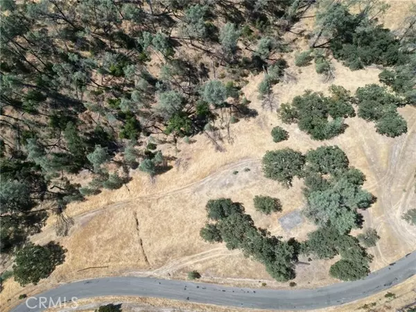 Corning, CA 96021,16275 Oakridge Road