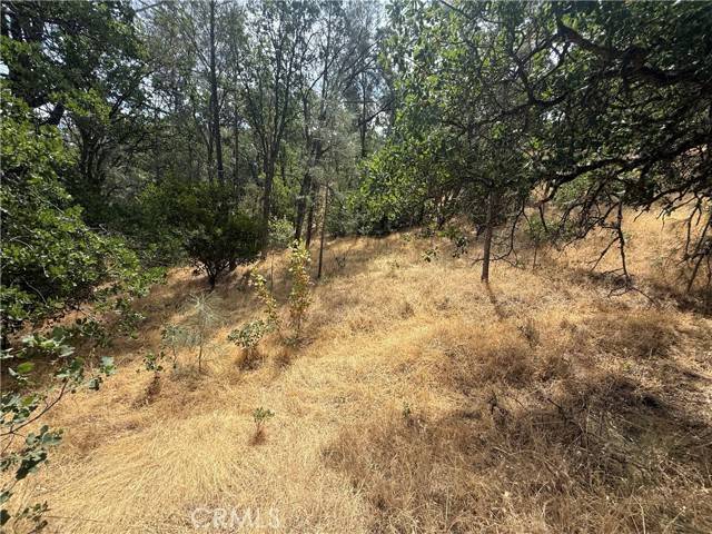 Corning, CA 96021,16295 Hillcrest Drive