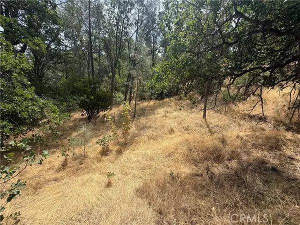 Corning, CA 96021,16295 Hillcrest Drive