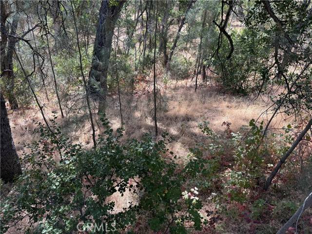 Corning, CA 96021,16305 Hillcrest Drive