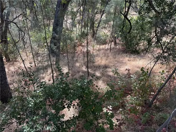 Corning, CA 96021,16305 Hillcrest Drive