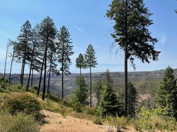 Paradise, CA 95969,6751 Woodland Drive