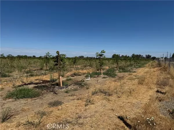 Corning, CA 96021,0 Mary Ave