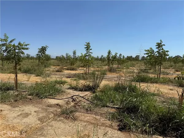 Corning, CA 96021,0 Mary Ave