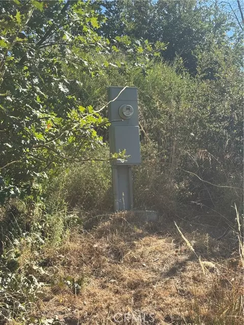 Berry Creek, CA 95916,1996 Bald Rock Road