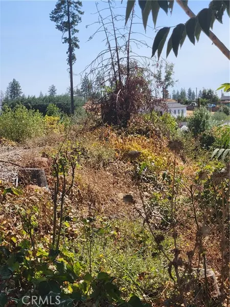328 Simpson Ranch Road, Berry Creek, CA 95916