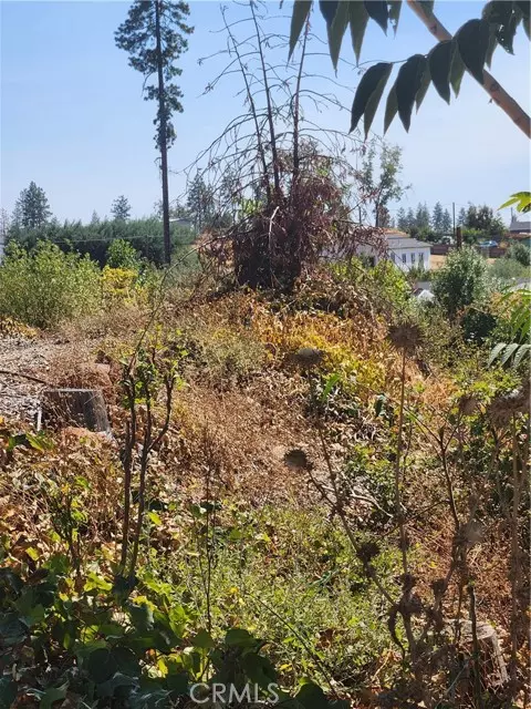 328 Simpson Ranch Road, Berry Creek, CA 95916