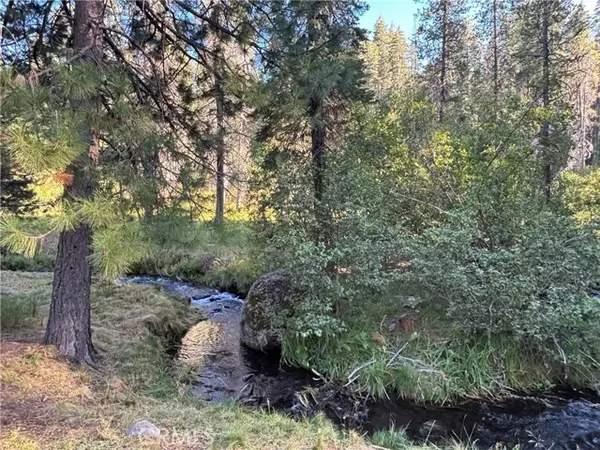 Other - See Remarks, CA 95942,9478 Jones Creek Road #14