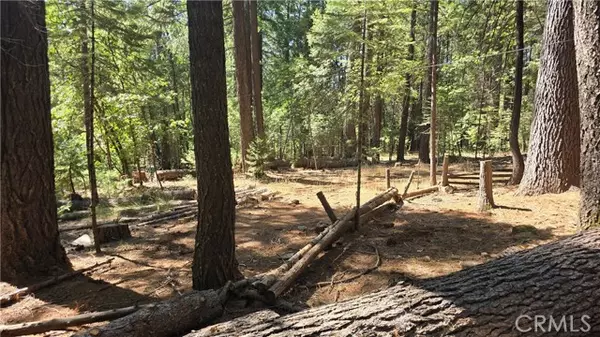 Magalia, CA 95954,6251 Steiffer