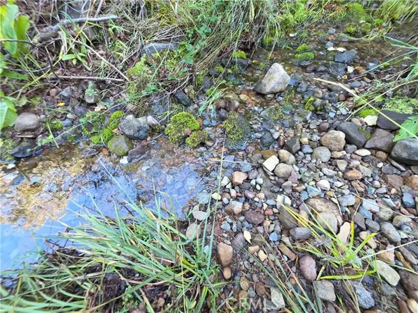 0 Muledeer Rd., Weed, CA 96094