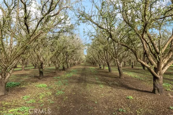 Chico, CA 95928,1419 Crouch Avenue