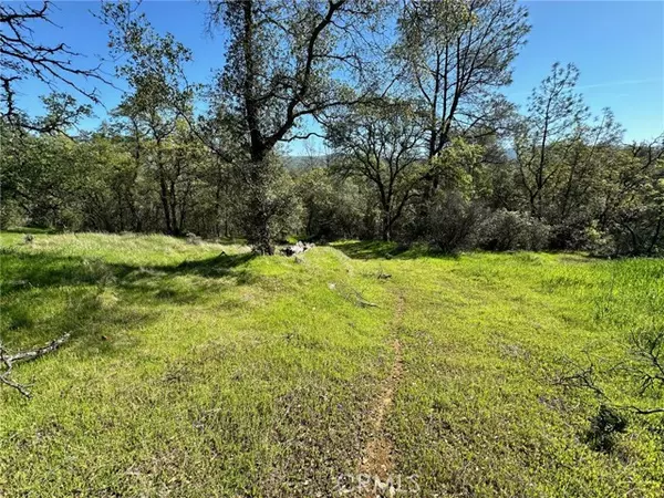 Oroville, CA 95966,169 Shady Oak Drive