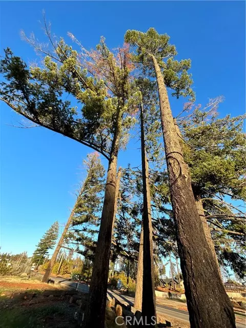 Paradise, CA 95969,8561 Skyway