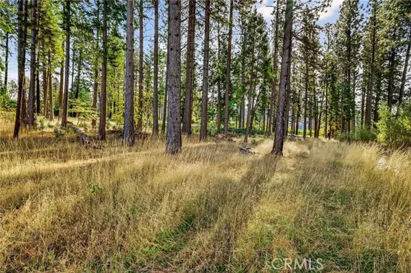 Oroville, CA 95965,4120 Jack Dale